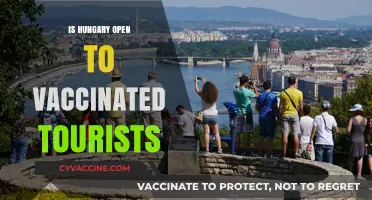 Exploring Hungary: A Guide for Vaccinated Tourists