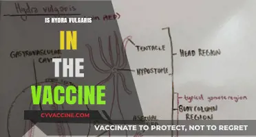 Exploring the Myth: Hydra Vulgaris and the Vaccine Connection