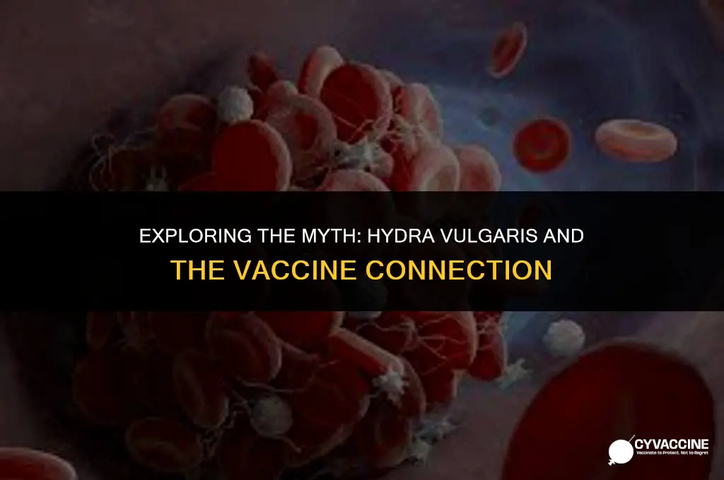 is hydra vulgaris in the vaccine