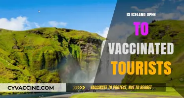 Exploring Iceland: A Guide for Vaccinated Tourists