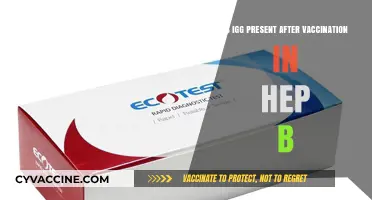 Hepatitis B Vaccination: Understanding IgG Presence Post-Immunization