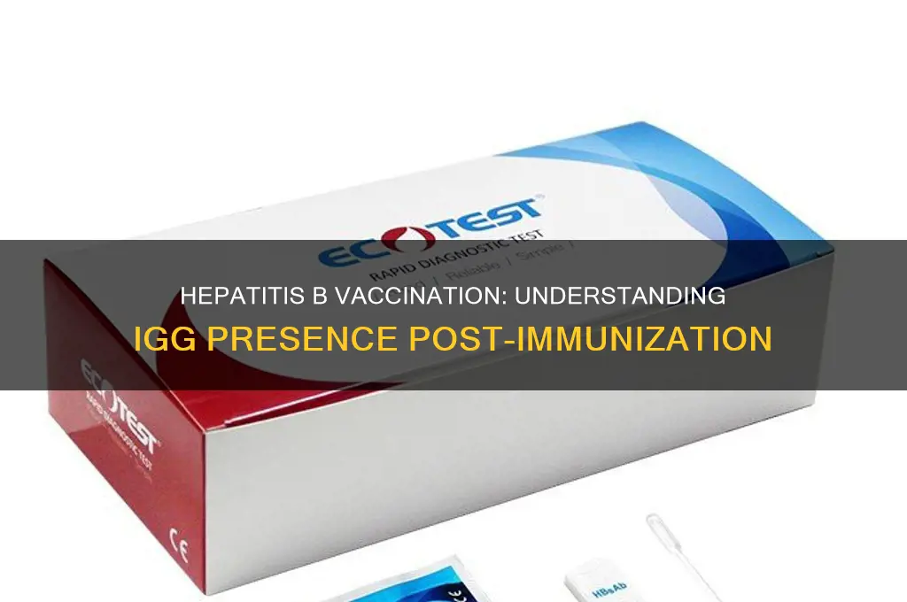 is igg present after vaccination in hep b