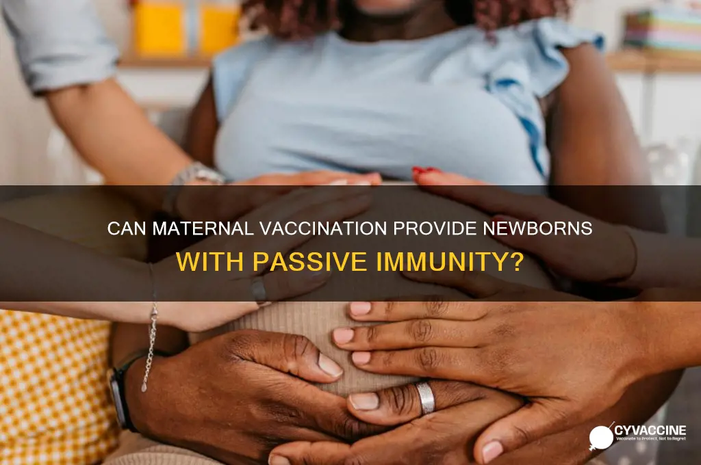 is immunity from a vaccine passed from mother to child