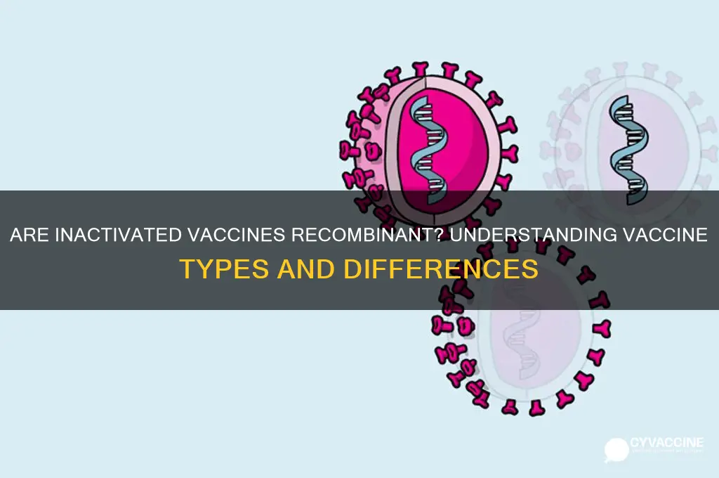 is inactivated vaccine a type of recombinant vaccine