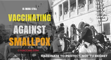 Combating Smallpox: India's Ongoing Vaccination Efforts Explained