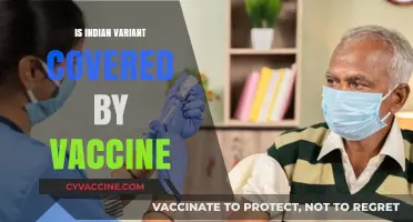 Vaccine Efficacy Against the Indian COVID-19 Variant: What We Know