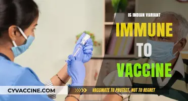 Exploring the Efficacy of Vaccines Against the Indian Variant