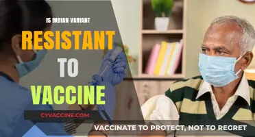 Exploring the Efficacy of Vaccines Against the Indian Variant