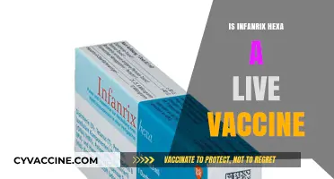 Understanding Infanrix Hexa: The Facts About This Live Vaccine