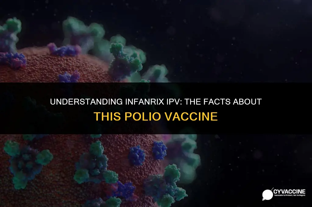 is infanrix ipv a live vaccine