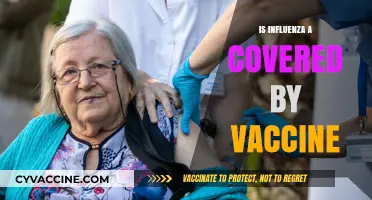 Combatting Influenza: The Power and Limits of Vaccination