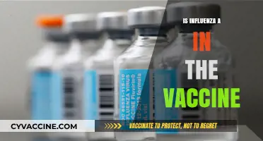 Combatting Influenza A: The Power of Vaccination Explained
