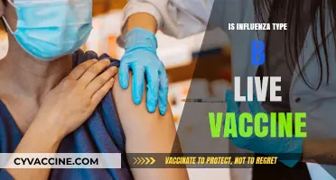 Understanding the Safety and Efficacy of Influenza Type B Live Vaccine