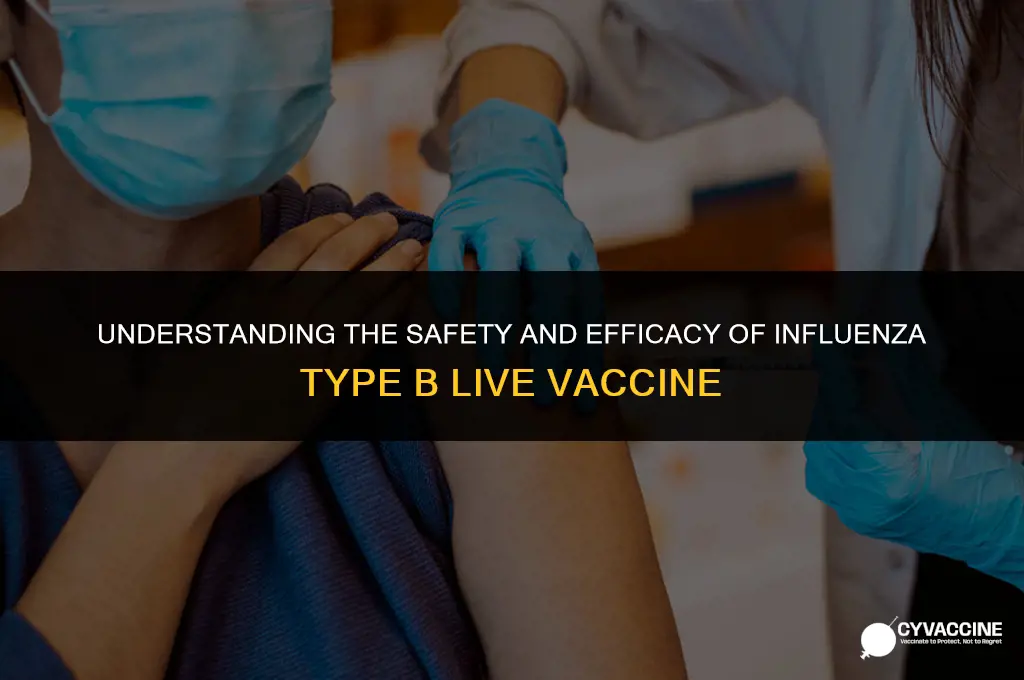 is influenza type b live vaccine