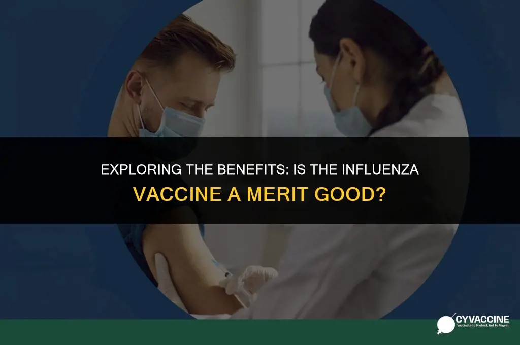 is influenza vaccine a merrit good
