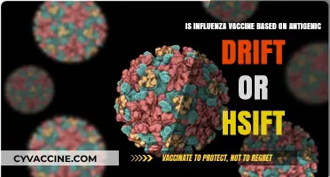 Influenza Vaccine Development: Understanding Antigenic Drift vs. Shift