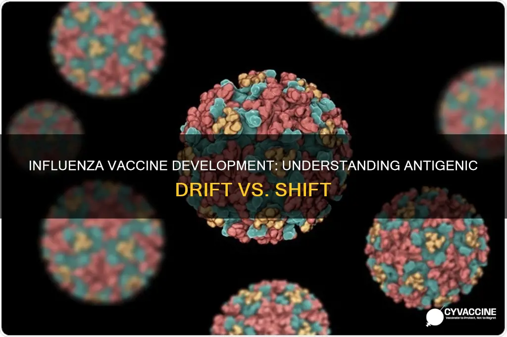 is influenza vaccine based on antigenic drift or hsift