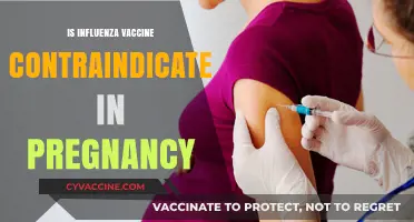 Debunking Myths: Influenza Vaccine Safety During Pregnancy Explained