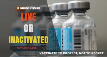 Understanding Influenza Vaccines: Live vs. Inactivated - What's Best for You?