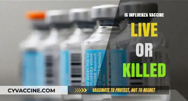 Understanding Influenza Vaccines: Live vs. Killed - What's the Difference?
