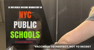 Is the Flu Shot Mandatory for NYC Public School Students?