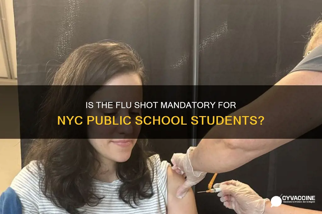 is influenza vaccine mandatory in nyc public schools