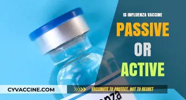 Unraveling the Mystery: Is the Influenza Vaccine Passive or Active?