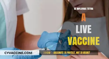 Understanding Influvac Tetra: Is It a Live Vaccine?