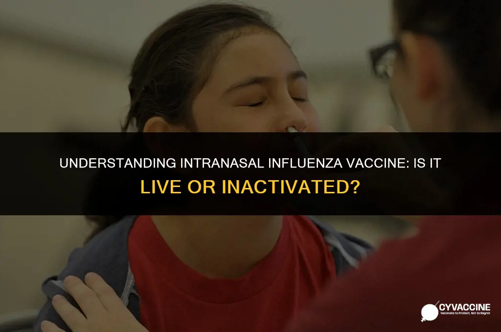 is intranasal influenza a live vaccine