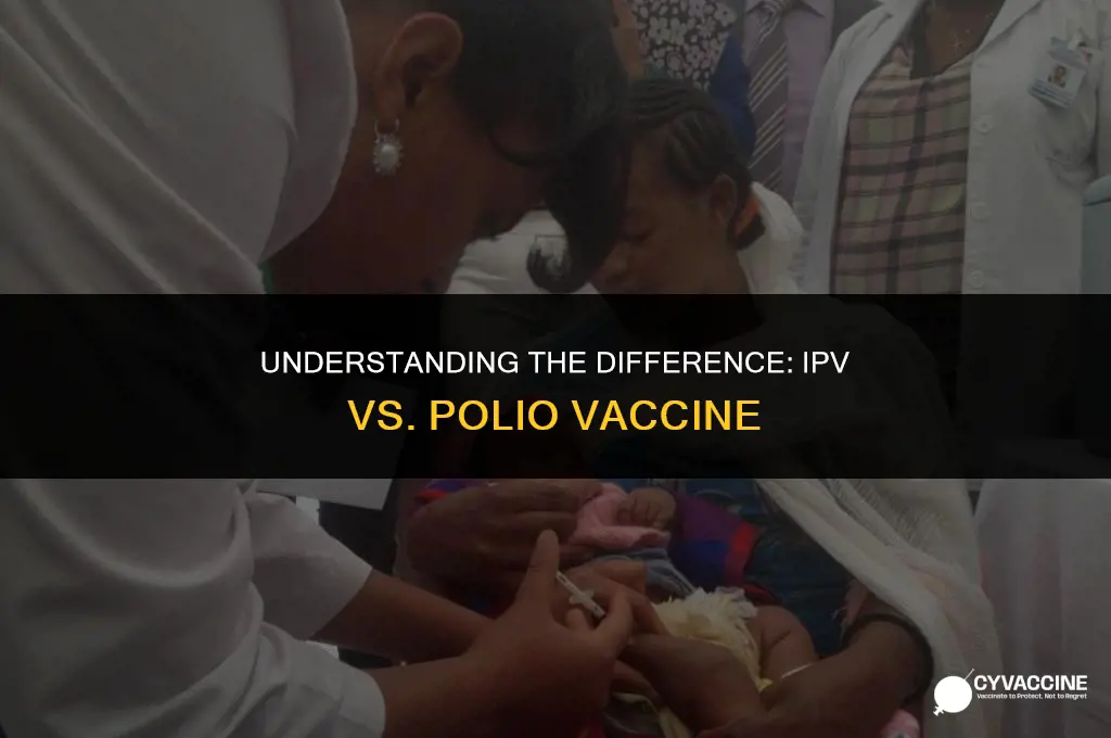 is ipv same as polio vaccine