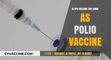 IPV vs Polio Vaccine: Understanding the Differences and Similarities
