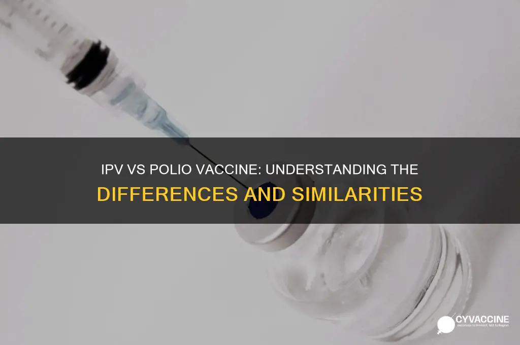 is ipv vaccine the same as polio vaccine