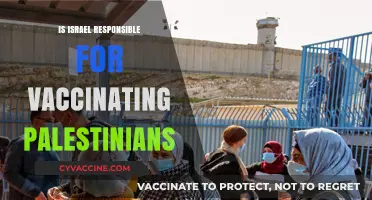 Examining Israel's Responsibility in Vaccinating Palestinians