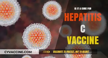 Hepatitis C Vaccine: Breakthrough Cure or Preventive Measure?