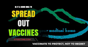 Should Vaccines Be Spaced Out? Exploring the Pros and Cons
