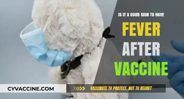 Fever After Vaccination: A Normal Immune Response or Cause for Concern?
