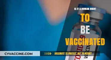 Vaccination as a Human Right: Ethical, Legal, and Global Perspectives