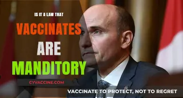 Are Vaccines Mandatory? Understanding Legal Requirements and Public Health Policies