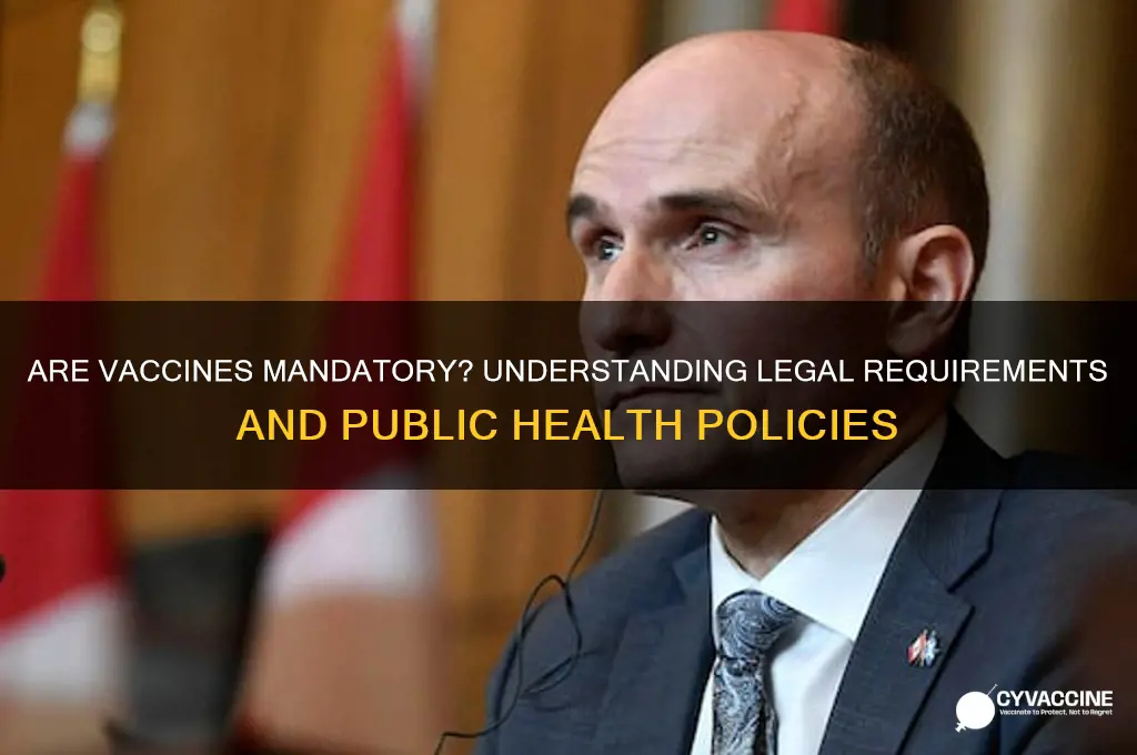 is it a law that vaccinates are manditory