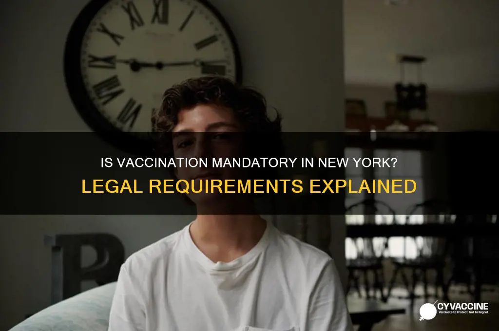 is it a law to be vaccinated in new york