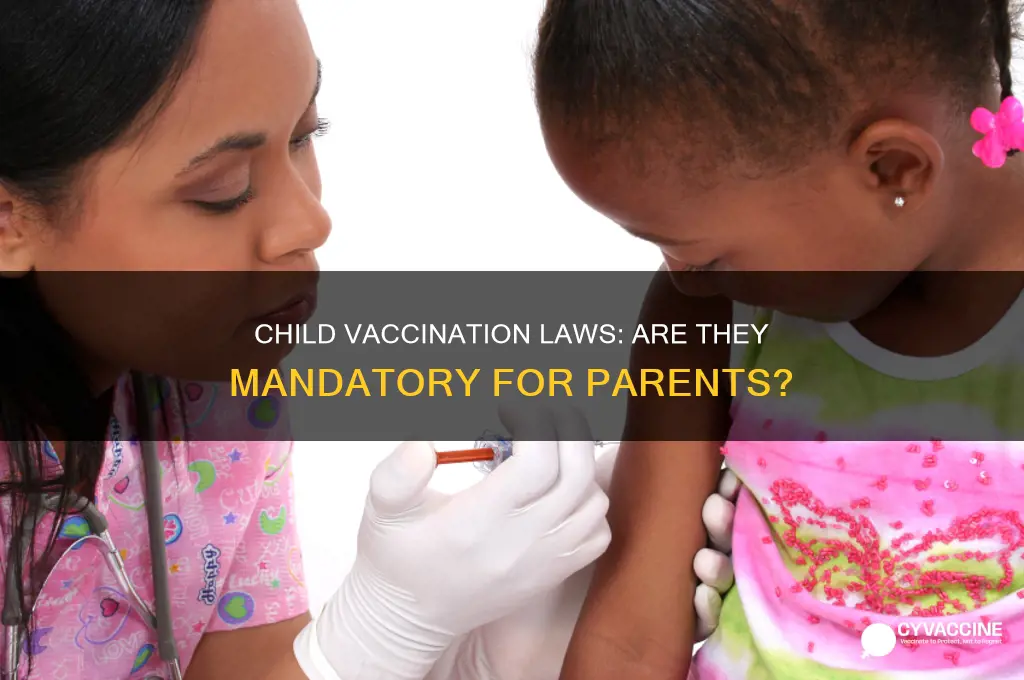 is it a law to have your child vaccinated