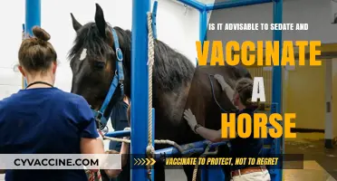 Sedation and Vaccination in Horses: Risks, Benefits, and Best Practices
