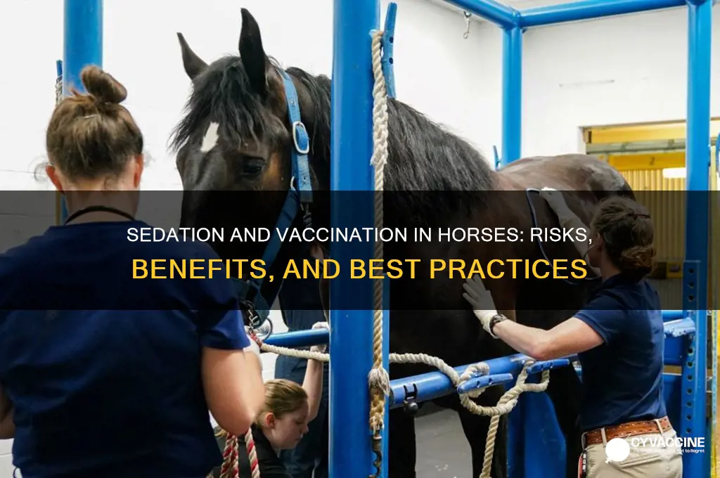 is it advisable to sedate and vaccinate a horse
