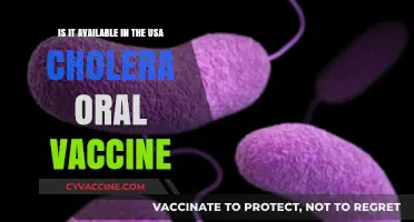 Cholera Oral Vaccine Availability in the USA: What You Need to Know