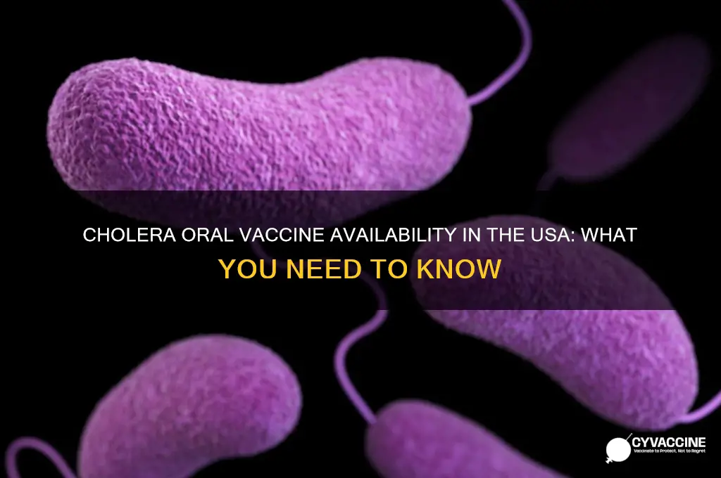 is it available in the usa cholera oral vaccine