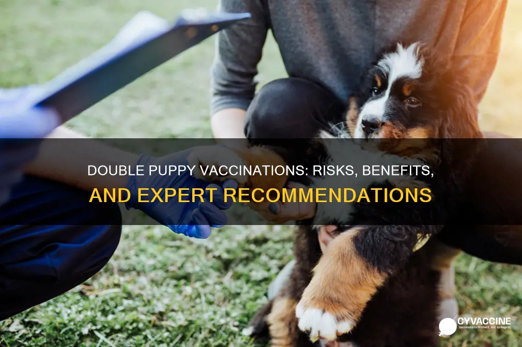 is it bad to vaccinate a puppy twice