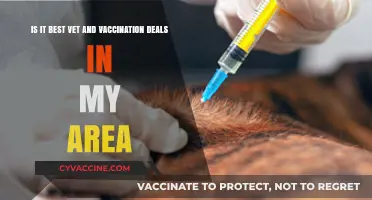 Find Top Vet and Vaccination Deals Near You: Save Today!