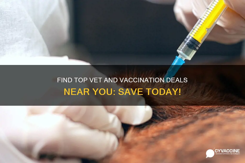 is it best vet and vaccination deals in my area