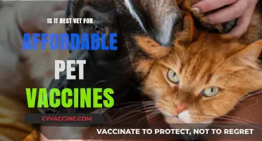 Affordable Pet Vaccines: Finding the Best Vet for Your Budget