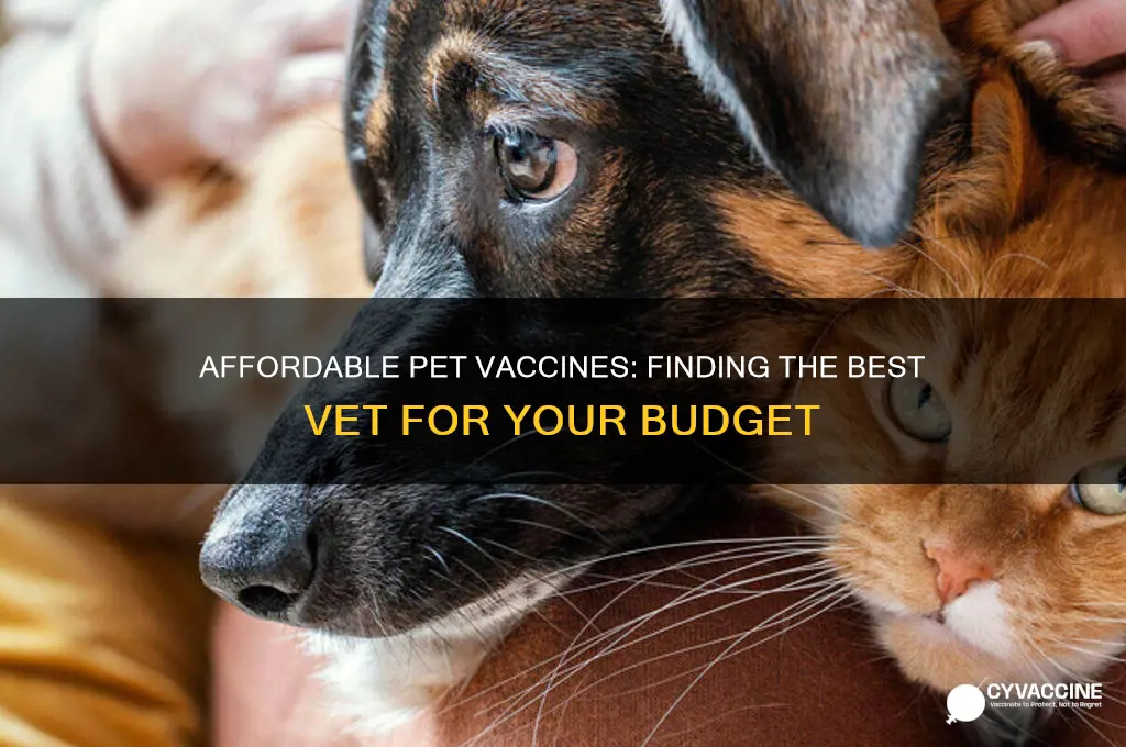 is it best vet for affordable pet vaccines